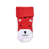 Biorganic Tiger Havlu Çorap